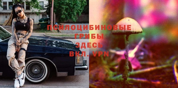 прущие крисы Бронницы
