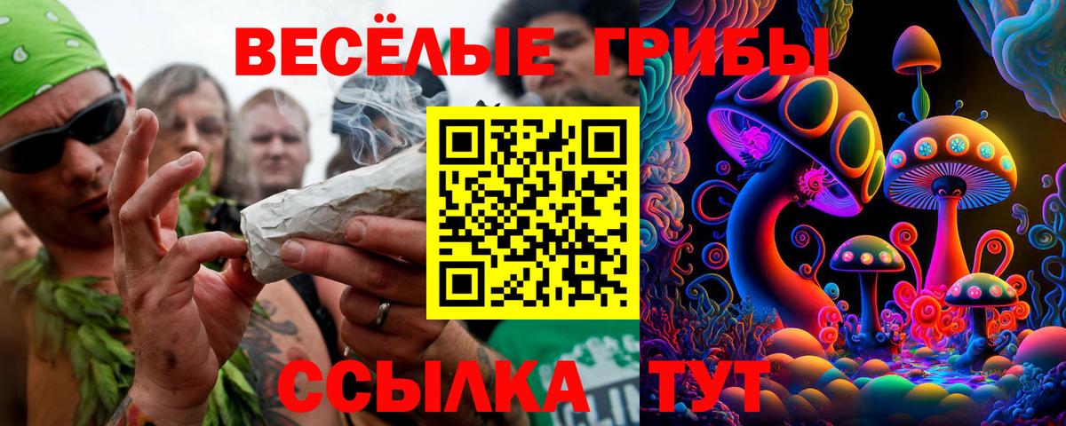 Северск  Галлюциногенные грибы мицелий  Вход с VPN 