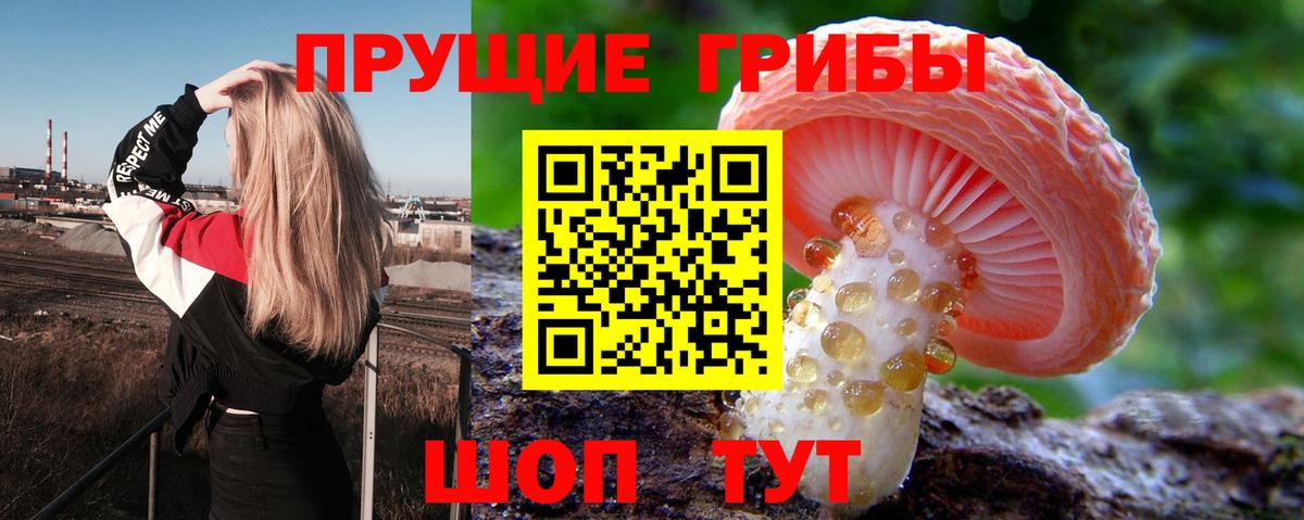  Cocaine Северск